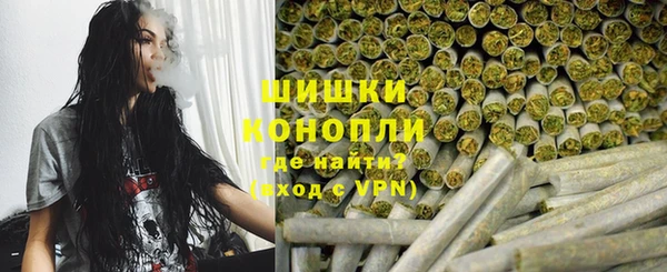 хмурый Бородино