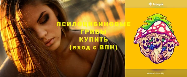 apvp Верхний Тагил