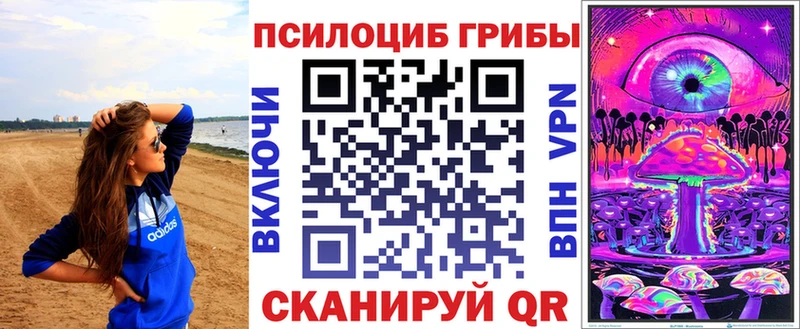 Галлюциногенные грибы Psilocybine cubensis  Инза 